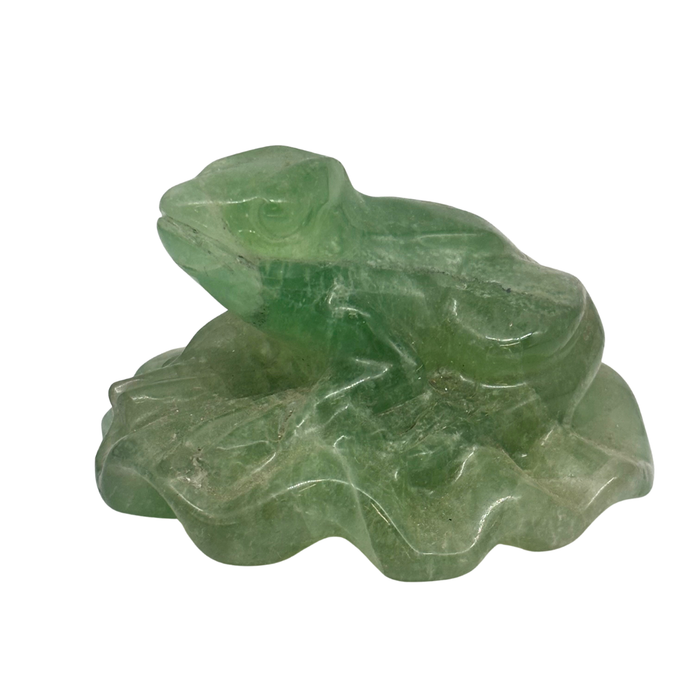 Gemstone Frog