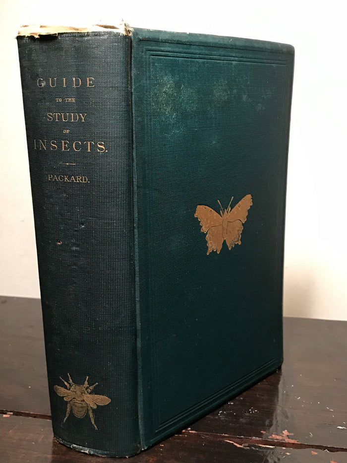 GUIDE TO THE STUDY OF INSECTS, Dr. A.S. Packard 1883, NATURAL HISTORY ENGRAVINGS