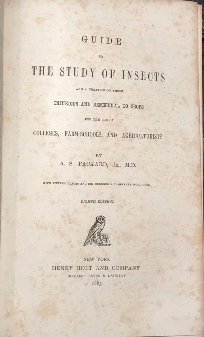 GUIDE TO THE STUDY OF INSECTS, Dr. A.S. Packard 1883, NATURAL HISTORY ENGRAVINGS