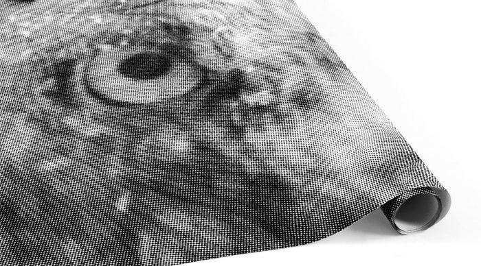 Halftone Bald Eagle Wall Mural-Wall Mural-Eazywallz