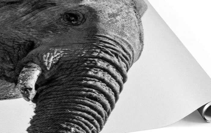 Halftone Happy Elephant Wall Mural-Wall Mural-Eazywallz
