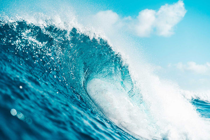 Hawaiian Surf Wave Wall Mural