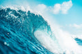 Hawaiian Surf Wave Wall Mural