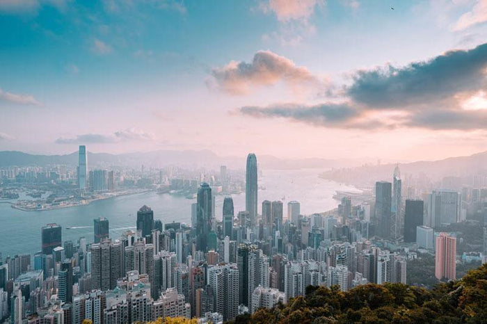 Hong Kong Island Wall Mural-Wall Mural-Eazywallz