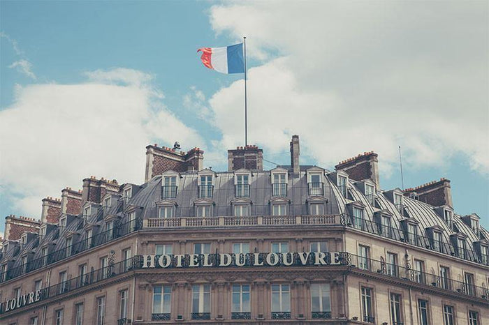 Hotel du Louvre Wall Mural-Wall Mural-Eazywallz
