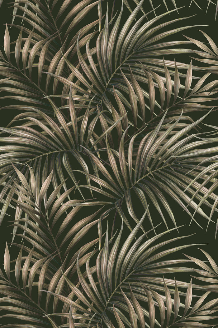 Kailani / Olive