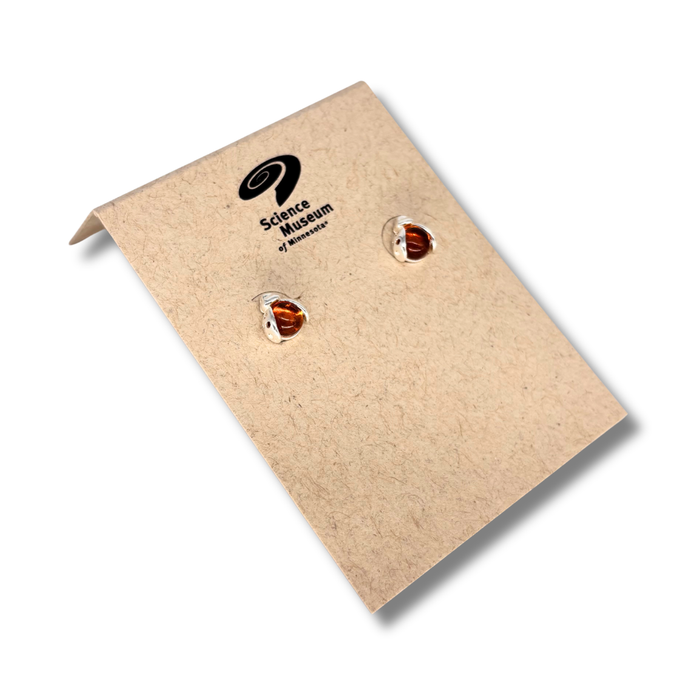 Ladybug Studs in Amber
