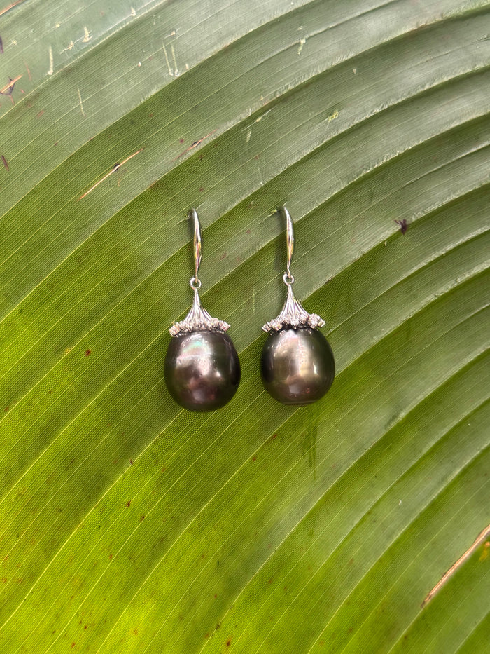 LARGE DELUXE TAHITIAN PEARL DANGLES (14-15)