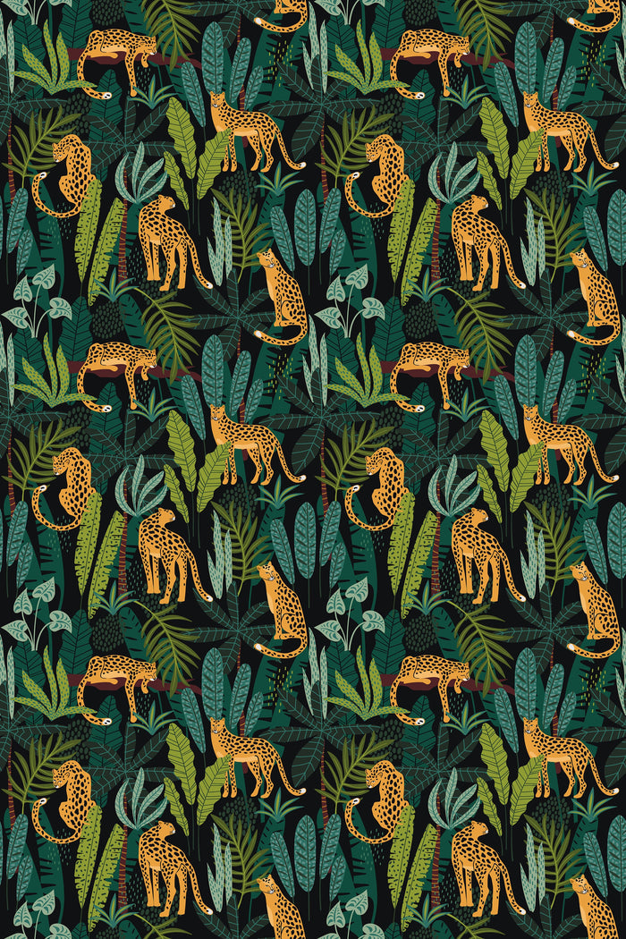 Leopards in the jungle / Dark
