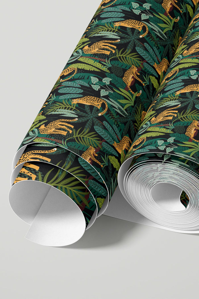 Leopards in the jungle / Dark