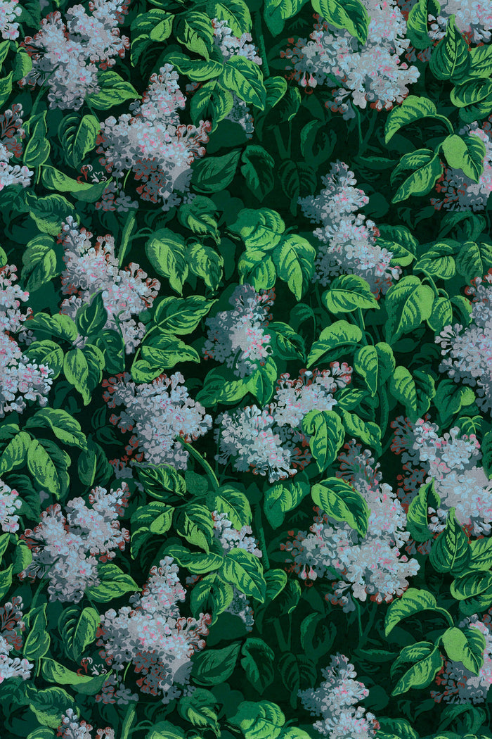 Lilac / Green