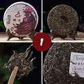 Lincang Raw Pu-erh Tea Sampler * Spring 2017 Harvest * Part 1 of 3 - Yunnan Sourcing Tea Shop