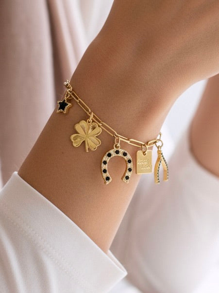 LUCKY CURIO CHARM Bracelet