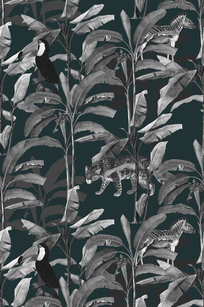 Lulonga / Teal