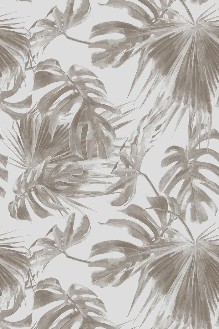Madeira / Sepia