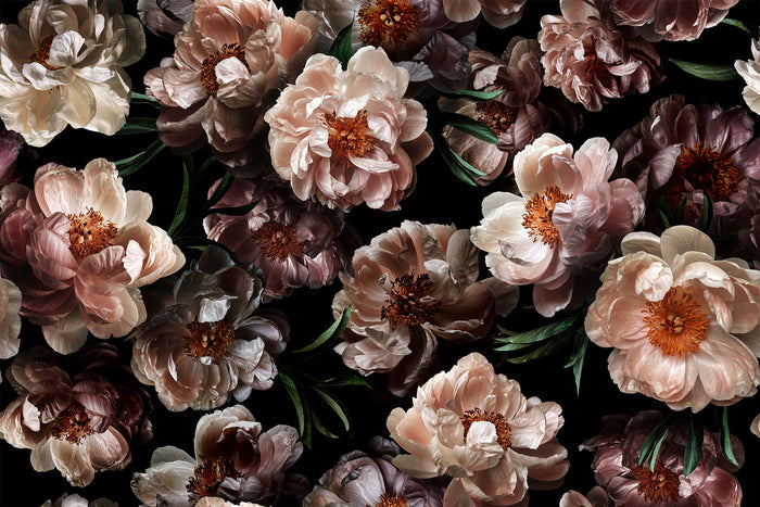 Midnight Floral / Vol 2