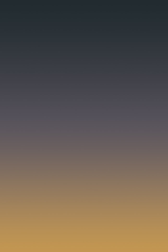 Detail of Midnight Mirage Wallpaper