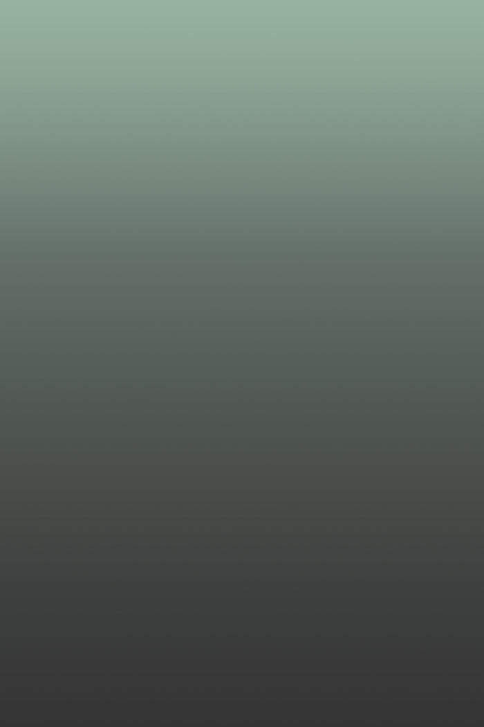 Detail of Mint Chocolate Chip wallpaper