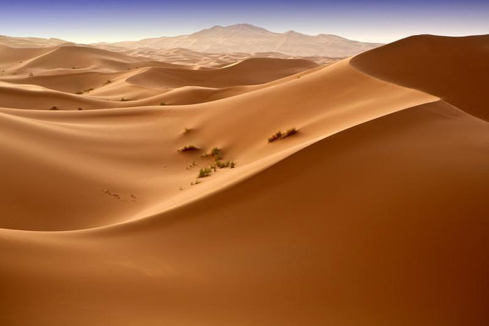 Moroccan desert wall Mural Wall Mural-Wall Mural-Eazywallz