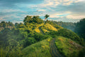 Mountain Pathway Wall Mural-Wall Mural-Eazywallz