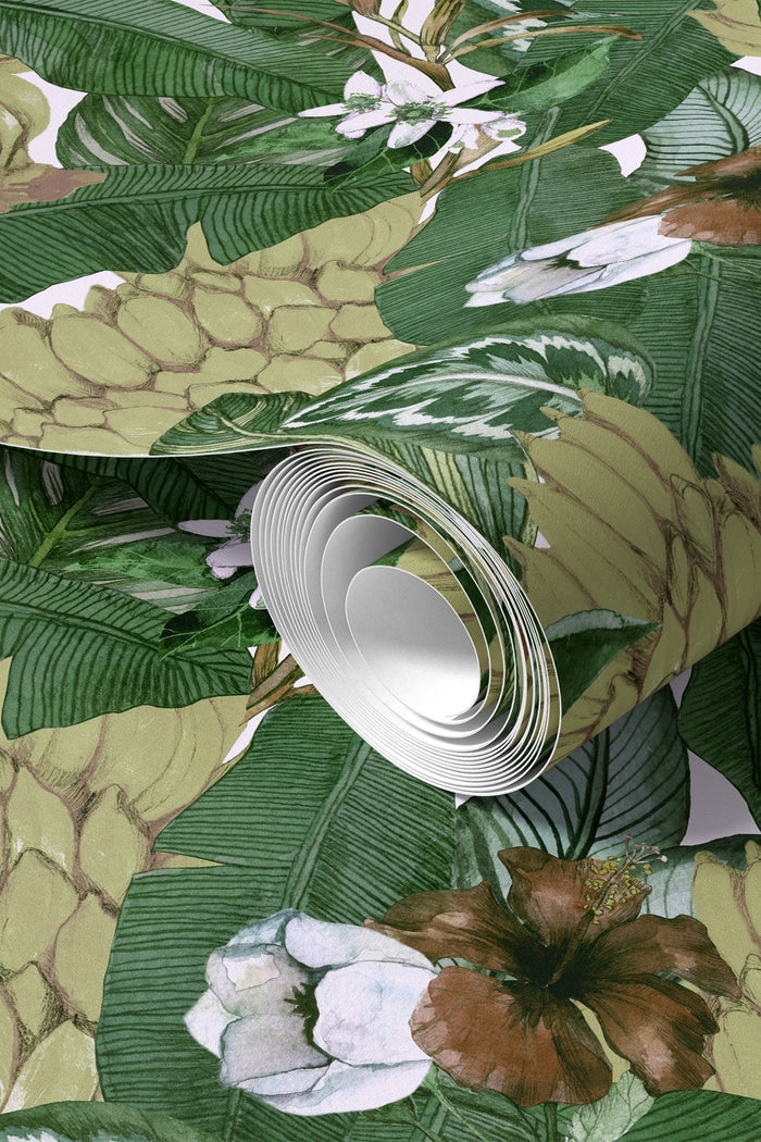 Musa / Green