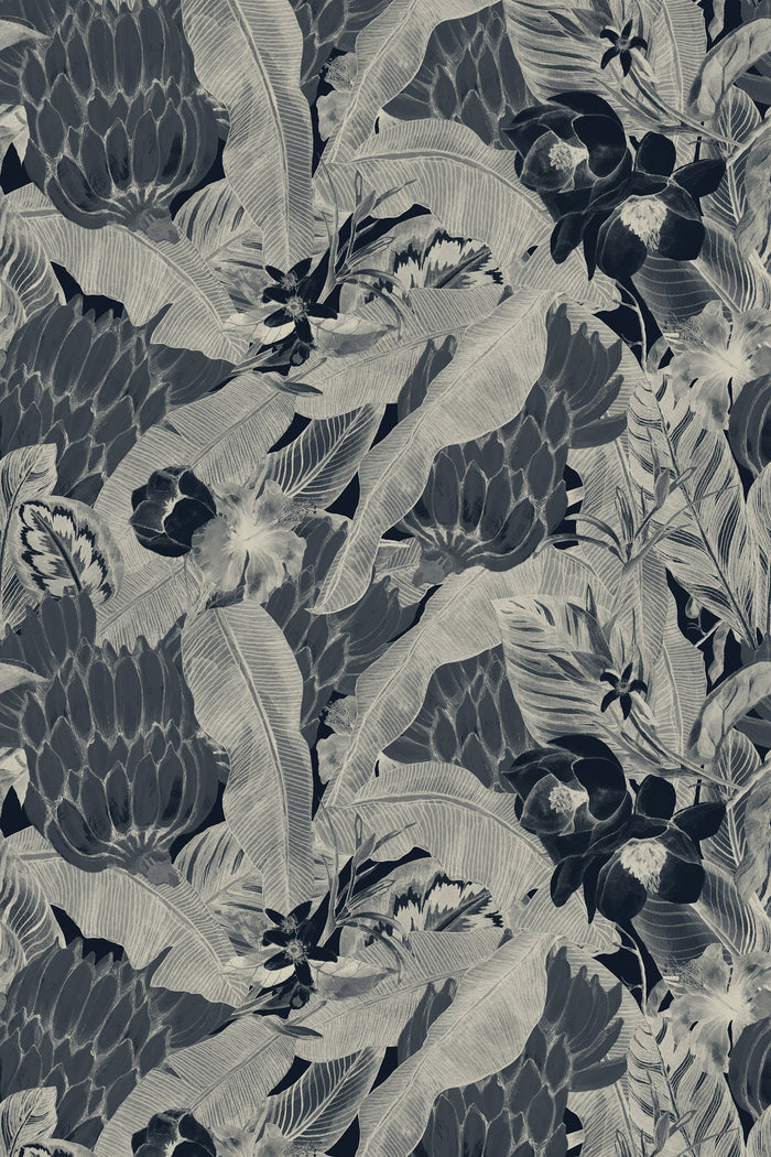 Musa / Navy