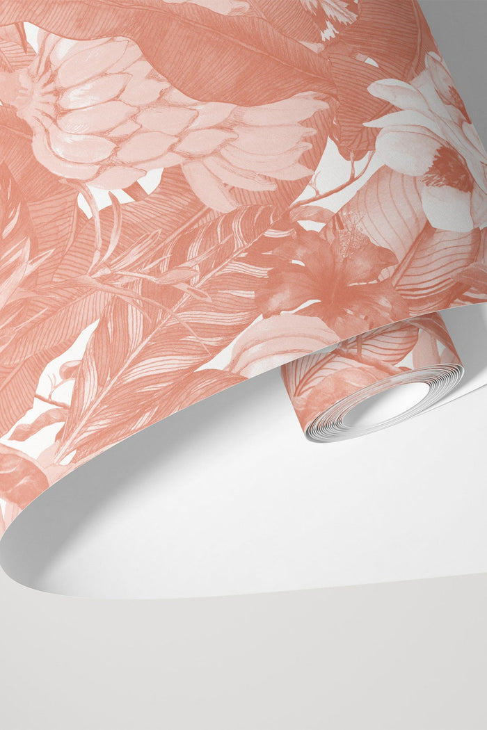 Musa / Peach