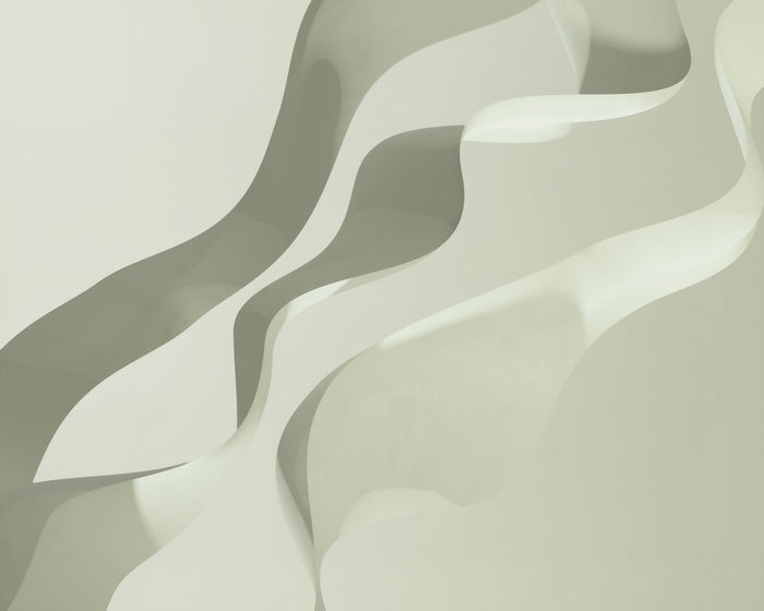 Namib Dune / Moss