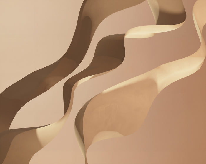 Namib Dune / Sand