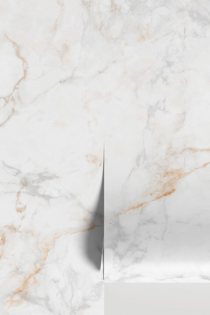 Natural Beige Marble wall mural close-up panel
