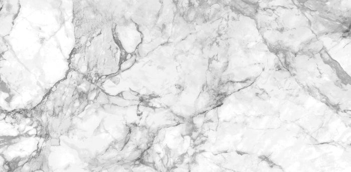Natural Black & White Marble Wall Mural