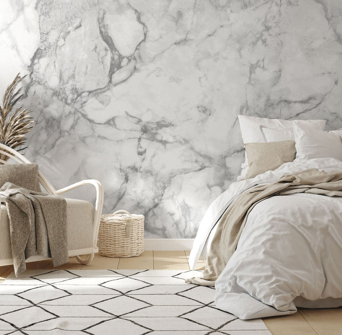 Natural Black & White Marble Wall Mural