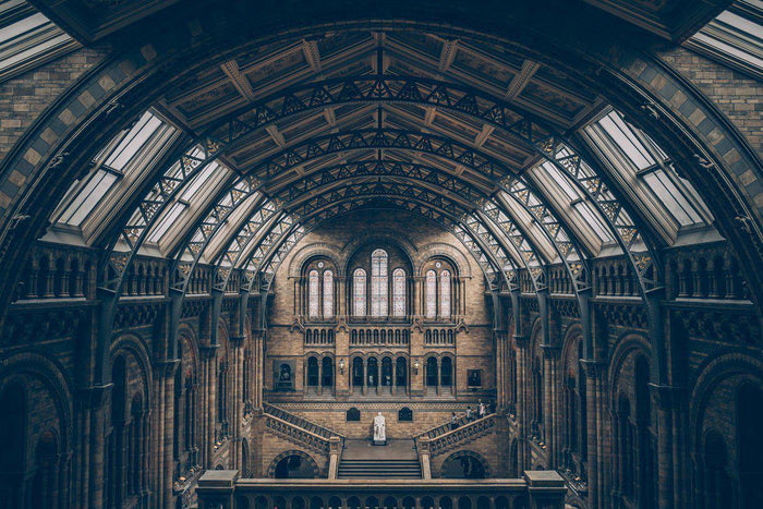 Natural History Museum Wall Mural-Wall Mural-Eazywallz