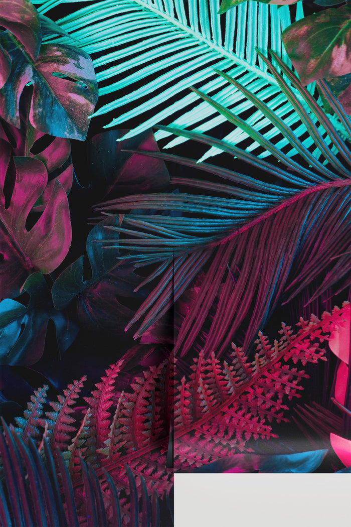 Neon Forest