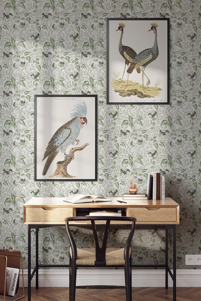Ortis / Green