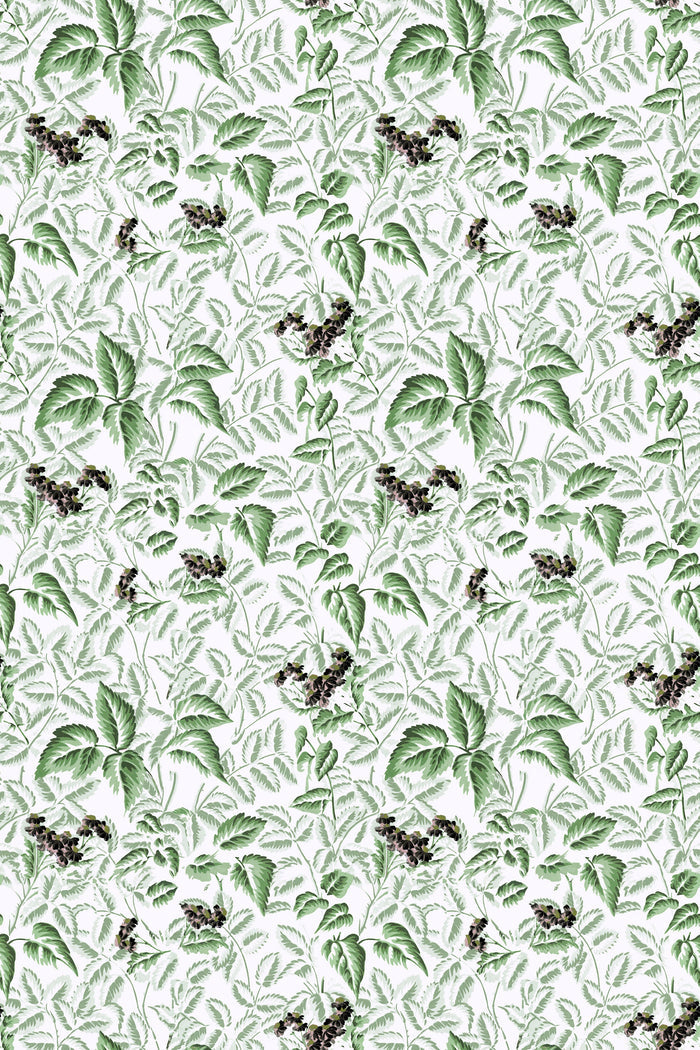 Ortis / Green
