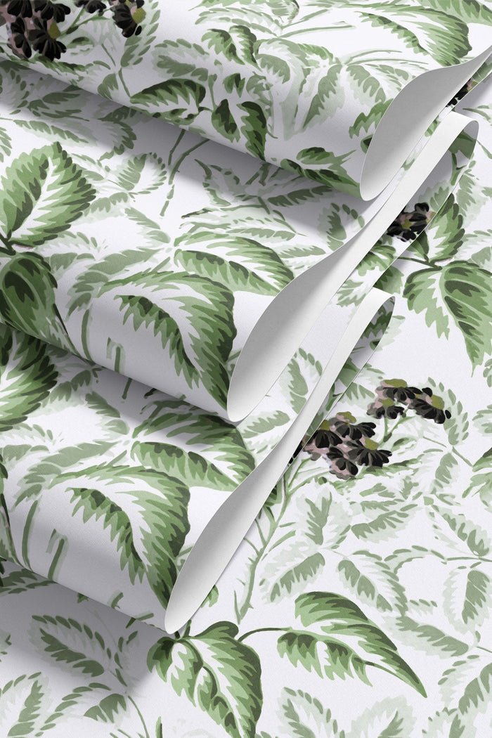 Ortis / Green
