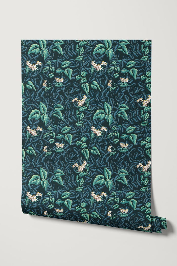Ortis / Teal
