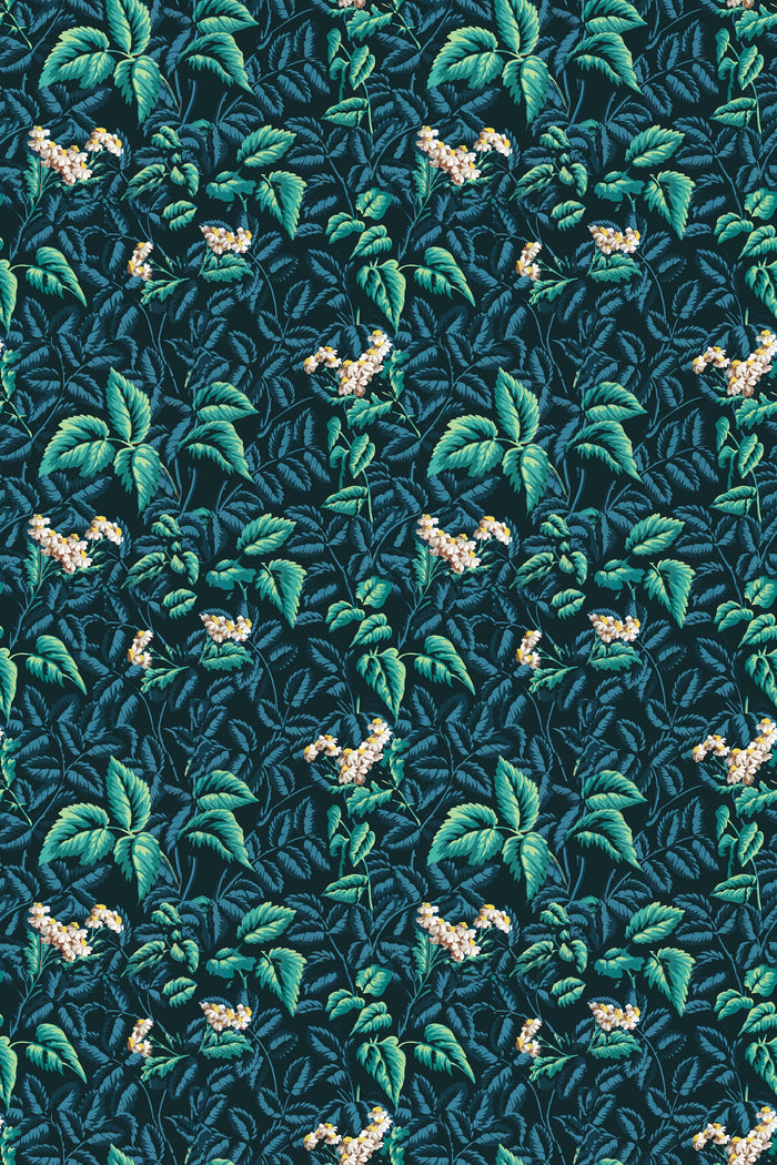 Ortis / Teal