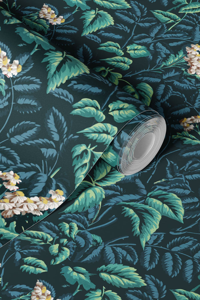 Ortis / Teal