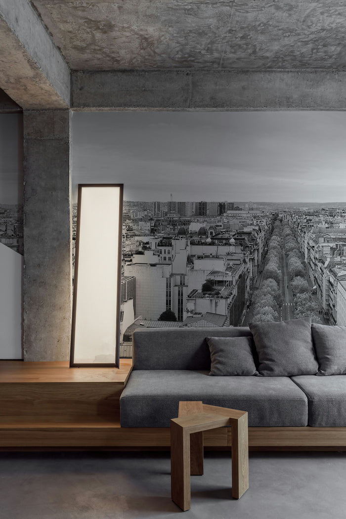 Panoramic View of Paris