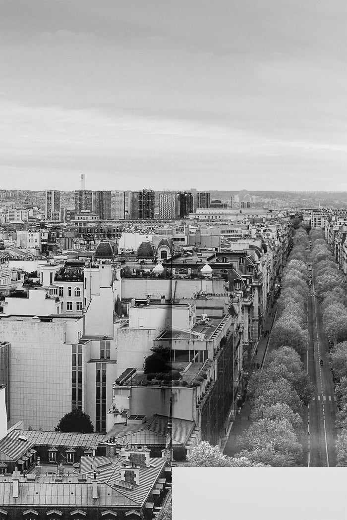 Panoramic View of Paris