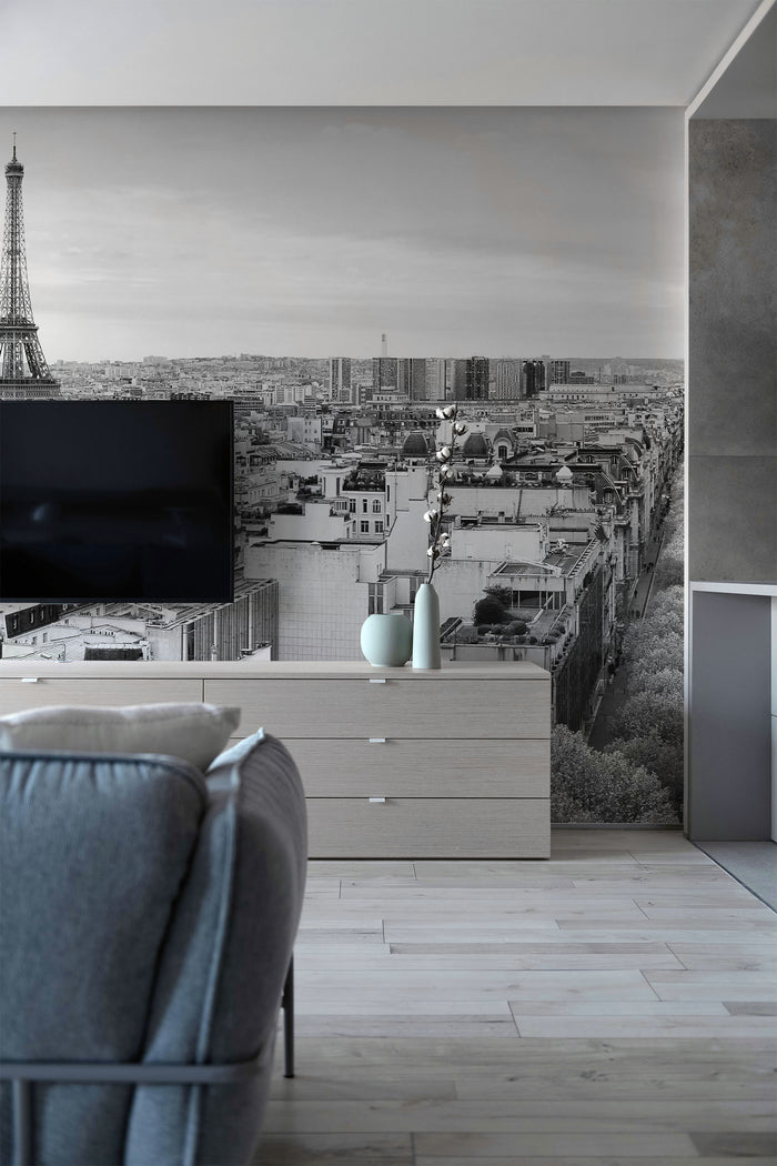 Panoramic View of Paris