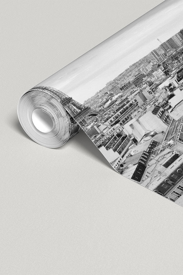 Panoramic View of Paris