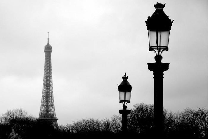 Paris Wall Mural-Wall Mural-Eazywallz