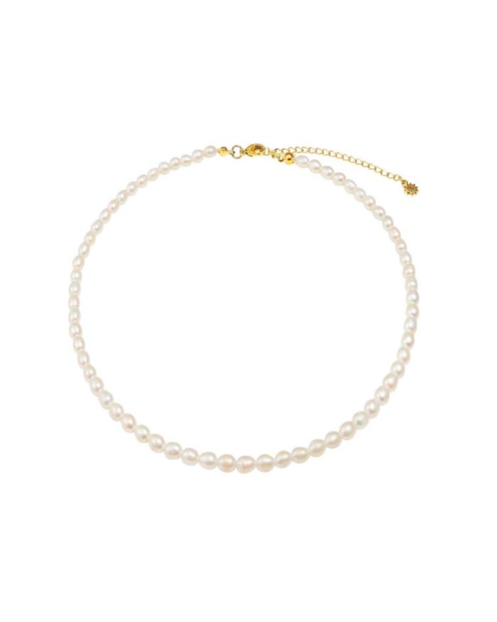 seed pearl necklace over white background