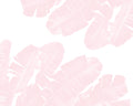 Pink Banana Leaves