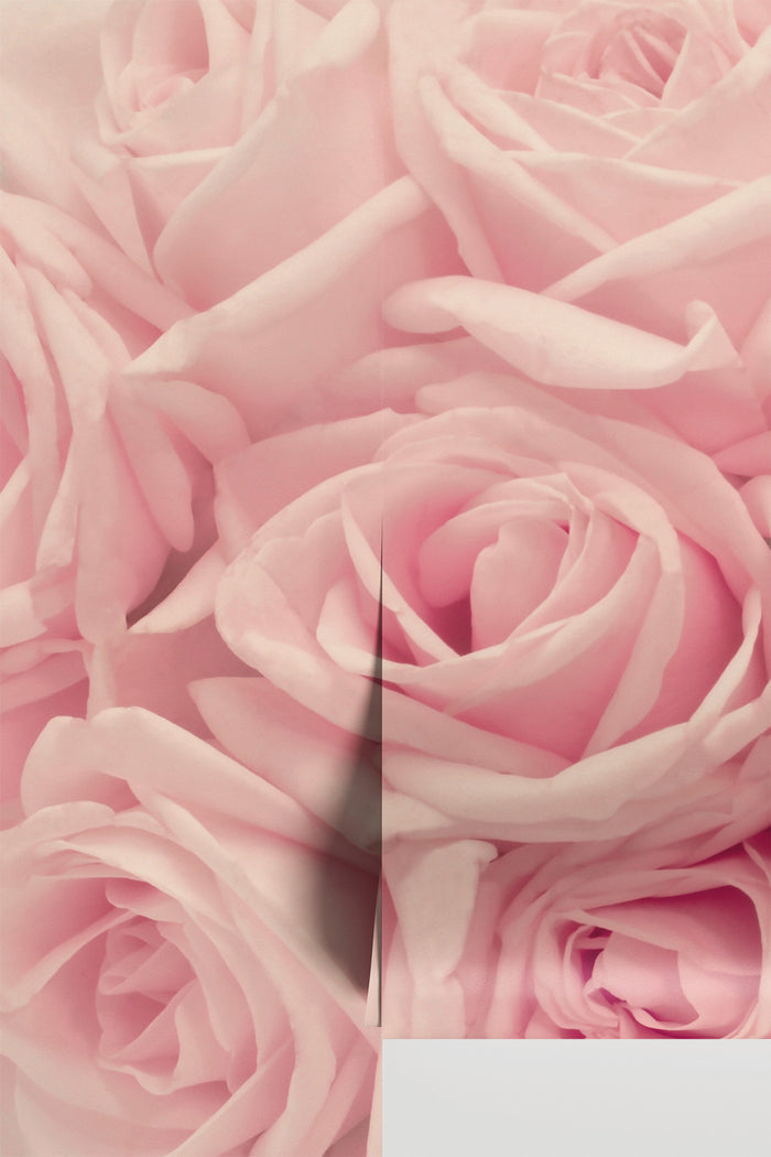 Pink Blush Bloom