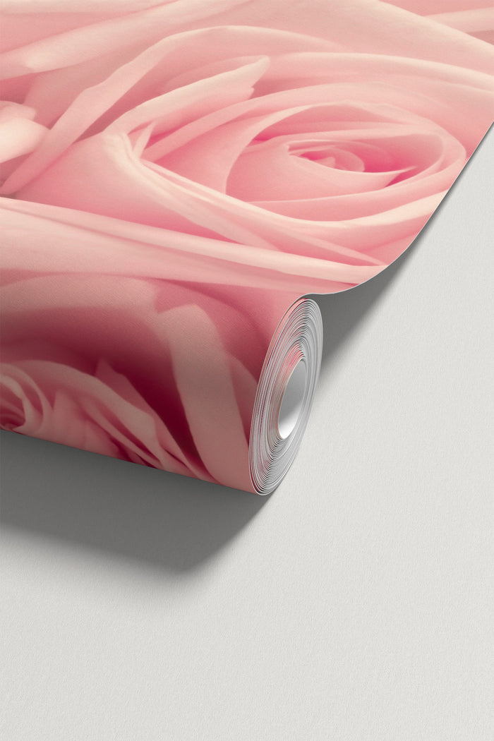 Pink Blush Bloom