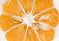 Pulp / Orange